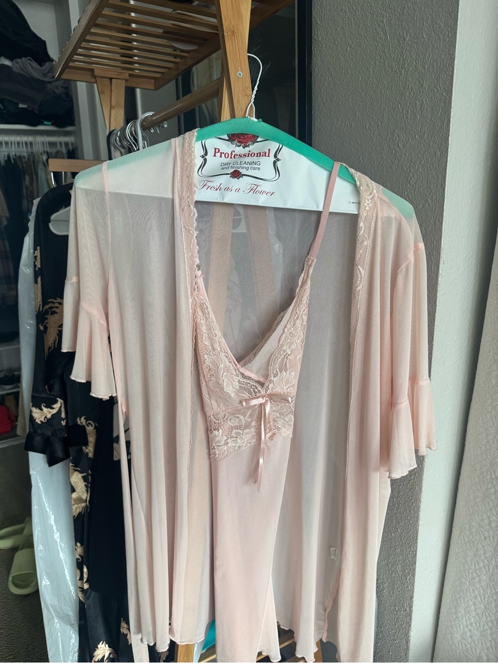 Delicate Blush Lace-Trim Sleep Chemise and Robe Set